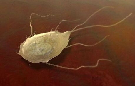 Les Giardia sont aussi des parasites ! 