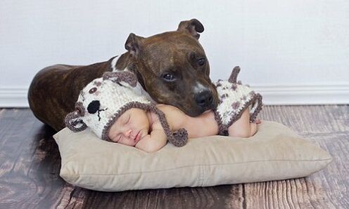 Un enfant avec un chien