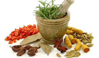 méthodes de traitement des parasites dans le corps